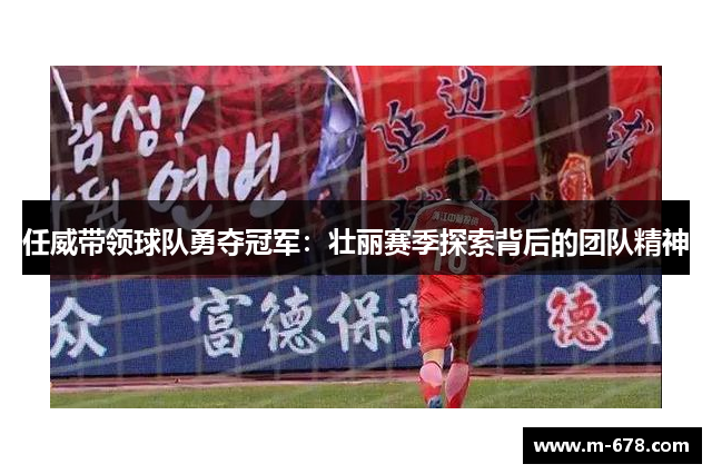 任威带领球队勇夺冠军：壮丽赛季探索背后的团队精神